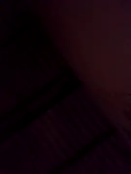 Bichorro online show from February 3, 2026, 7:02 am