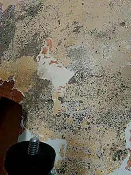 urrubybaby online show from February 25, 2025, 8:25 am