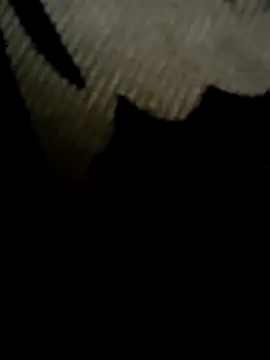 urrubybaby online show from October 16, 2025, 4:10 am