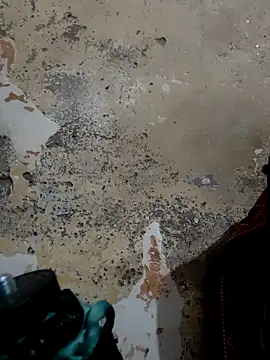 urrubybaby online show from February 19, 2025, 4:23 am