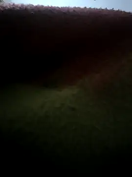 urrubybaby online show from February 17, 2025, 3:00 pm