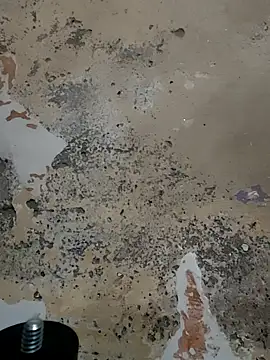 urrubybaby online show from February 23, 2025, 5:45 am