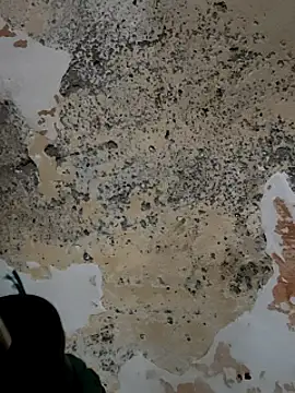 urrubybaby online show from March 11, 2025, 9:45 am