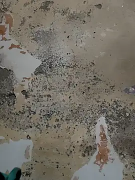 urrubybaby online show from February 15, 2025, 8:44 am