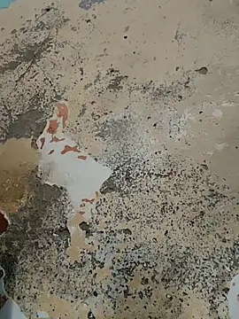 urrubybaby online show from February 21, 2025, 7:23 am