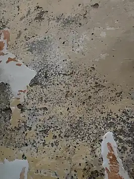 urrubybaby online show from February 21, 2025, 5:31 pm