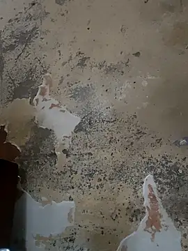 urrubybaby online show from February 22, 2025, 5:12 am