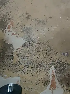 urrubybaby online show from February 22, 2025, 4:09 pm