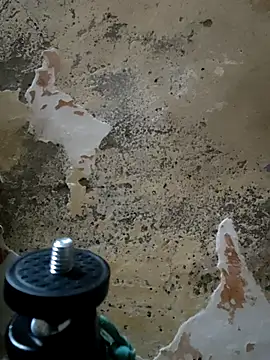 urrubybaby online show from February 24, 2025, 11:54 am