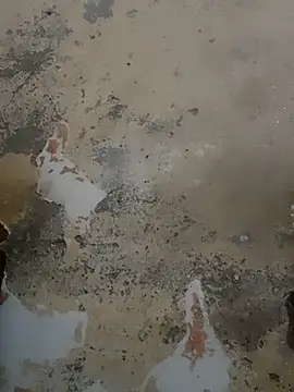 urrubybaby online show from February 17, 2025, 5:25 am