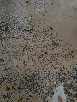 urrubybaby online show from March 13, 2025, 6:26 am