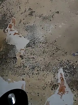 urrubybaby online show from February 23, 2025, 10:28 am