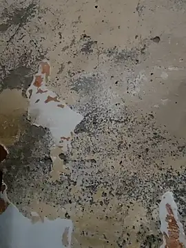 urrubybaby online show from February 20, 2025, 9:44 am