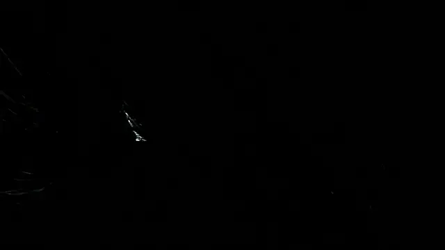 Snapshot of Aleshkastone chatting on October 1, 2025, 11:19 pm Aleshkastone online show from October 1, 2025, 11:19 pm