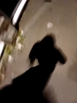 Snapshot of Eusuntnoulgigolo chatting on October 14, 2025, 6:08 pm Eusuntnoulgigolo online show from October 14, 2025, 6:08 pm