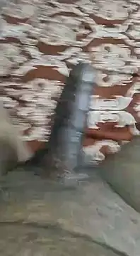 Snapshot of desi_pb02 chatting on September 9, 2025, 3:21 pm desi pb02 online show from September 9, 2025, 3:21 pm