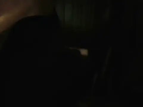 PreetyKitten online show from December 16, 2025, 3:38 pm