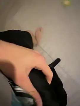 PainterHase online show from October 15, 2025, 4:37 pm