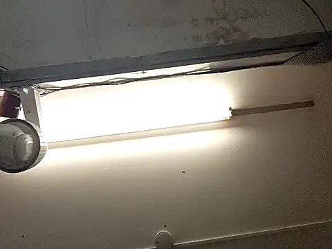 Snapshot of Mrnutella chatting on September 19, 2025, 8:57 pm Mrnutella online show from September 19, 2025, 8:57 pm