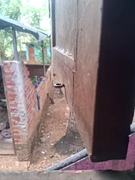 Snapshot of samdavid162 chatting on March 23, 2025, 7:31 am samdavid162 online show from March 23, 2025, 7:31 am