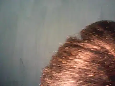 Snapshot of perfectionist chatting on March 8, 2025, 9:08 pm perfectionist online show from March 8, 2025, 9:08 pm