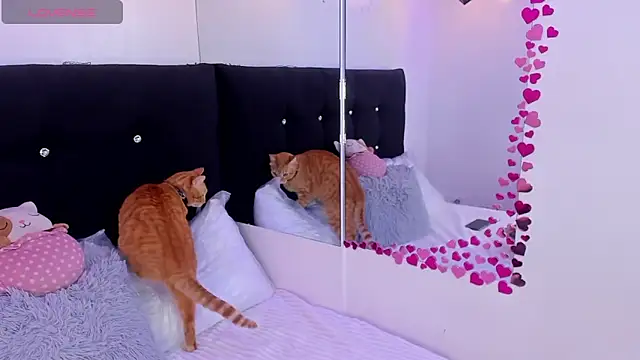 Anniie  Evans online show from March 16, 2026, 5:05 pm