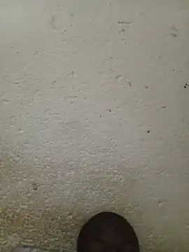 Snapshot of lilpip chatting on June 16, 2026, 1:49 am lilpip online show from June 16, 2026, 1:49 am