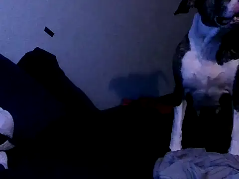 Snapshot of PornStro921 chatting on October 2, 2025, 11:19 pm PornStro921 online show from October 2, 2025, 11:19 pm