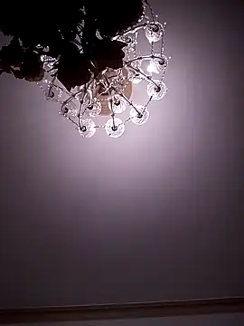 Snapshot of Israel1313_ chatting on February 23, 2025, 7:00 am Israel1313 online show from February 23, 2025, 7:00 am