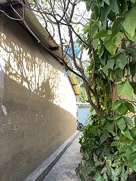 twinks 28 online show from February 25, 2026, 7:14 pm