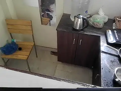 Snapshot of fitbuddy1 chatting on March 1, 2026, 7:08 am fitbuddy1 online show from March 1, 2026, 7:08 am