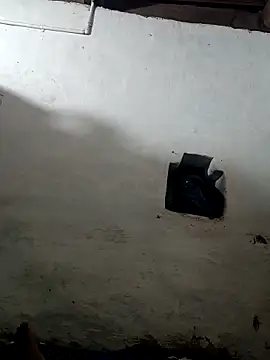 Snapshot of abbai_dengutha chatting on March 11, 2025, 7:47 pm abbai dengutha online show from March 11, 2025, 7:47 pm