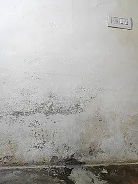 pallu telgu kannada online show from March 4, 2026, 5:31 pm