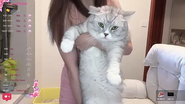 Yik-11 online show from September 18, 2025, 7:28 pm