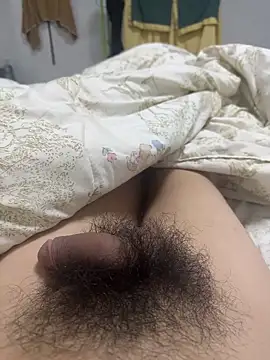 as147859AS online show from October 15, 2025, 11:51 am