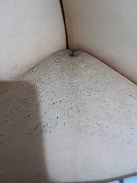 yakot7 online show from October 4, 2025, 9:38 pm