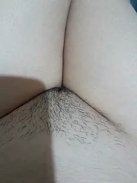 yakot7 online show from November 15, 2025, 11:42 pm