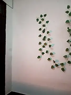 Snapshot of Neha-Bhabhi-Rasily chatting on February 20, 2026, 11:12 am Neha-Bhabhi-Rasily online show from February 20, 2026, 11:12 am