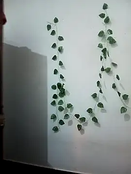 Snapshot of Neha-Bhabhi-Rasily chatting on February 17, 2026, 7:11 pm Neha-Bhabhi-Rasily online show from February 17, 2026, 7:11 pm