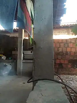 viviksmel online show from November 9, 2025, 6:56 pm