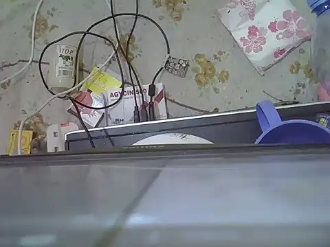 Nubian Nefertiti online show from January 15, 2026, 3:04 pm