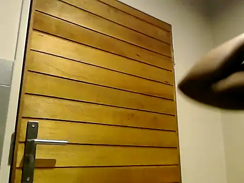 prettymonalisaRSA online show from October 28, 2025, 5:56 pm