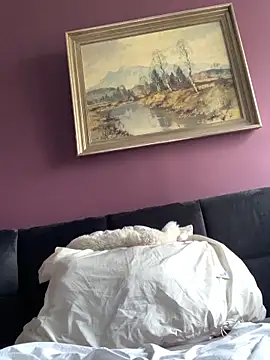 Snapshot of Saysay-7 chatting on February 23, 2026, 12:28 pm Saysay-7 online show from February 23, 2026, 12:28 pm