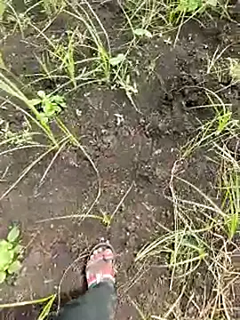 himvilohi08 online show from October 1, 2025, 5:34 am