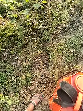 Snapshot of himvilohi08 chatting on January 10, 2026, 10:54 am himvilohi08 online show from January 10, 2026, 10:54 am