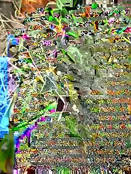 himvilohi08 online show from September 27, 2025, 12:33 pm