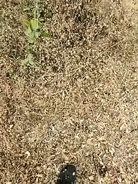 himvilohi08 online show from March 24, 2026, 11:54 am