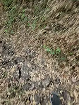 himvilohi08 online show from March 25, 2026, 12:48 pm