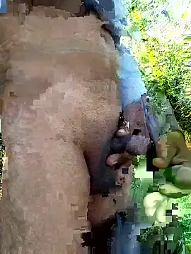 Snapshot of himvilohi08 chatting on December 14, 2025, 5:24 am himvilohi08 online show from December 14, 2025, 5:24 am