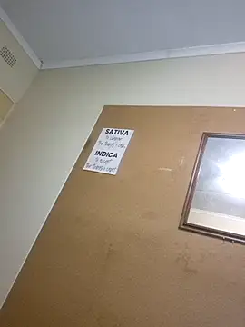 bakedsnackmmh online show from March 30, 2026, 6:09 pm